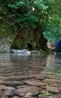 تور جذاب یکروزه تنگه بیل اسالم بهمراه صبحانه