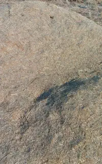 کاه جو قیرکارزین