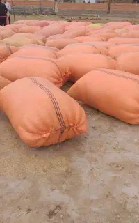 کاه خورده و پرس گندم تمیز وخشک