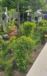 باغبان