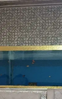 آکواریوم