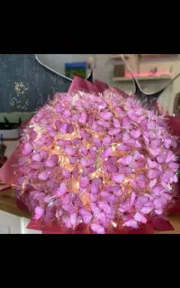 گل چراغ دار
