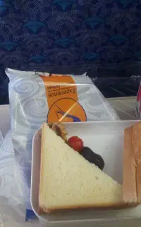 هدیه رایگان