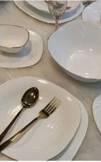 اکروپال دینو