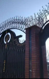 حفاظ روی دیوارشاخ گوزنی سه شاخ سقف سبک زیر پله فنس
