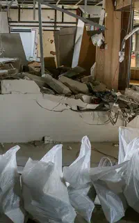 تخریب  و کندن کاری با پیکور