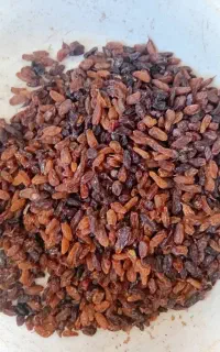 کشمش آفتابی عسکری