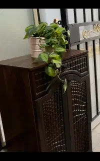 جاکفشی