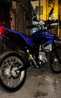 Wr155