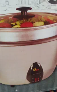 سرخ کن پلوپز سه کاره آکبند قابل معاوضه بافرش