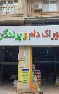 دان پرندگان خوراک دام گندم 53