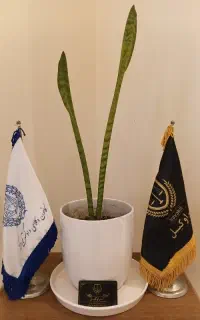 وکیل پایه یک دادگستری