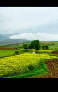 جوای کار.باغبانی و سرایداری