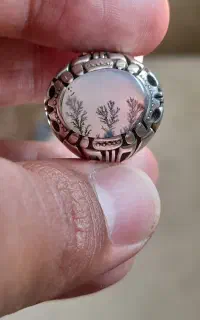 انشگتر شجر