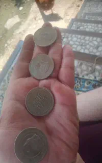 سکه برای 96