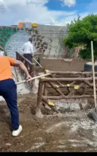 خدمات باغبانی