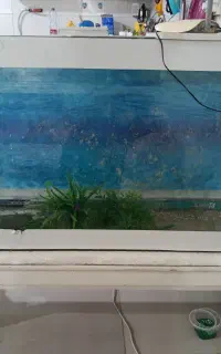 فروش اکواریوم