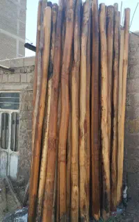 چوب خشک