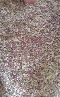 زرشک پفکی مرقوب
