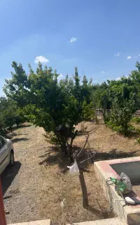 باغبانی نگهبانی سرایداری