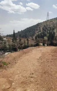 تور طبیعت