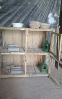 کجه گنجه