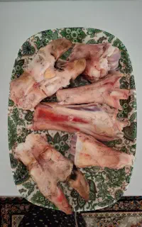 پای گاو