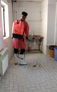 سم پاشی موریانه زدایی سوسک ساس موش بید