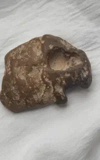 فسیل