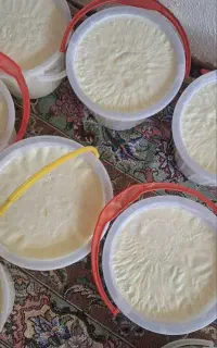 ماست محلی .کره گاوی