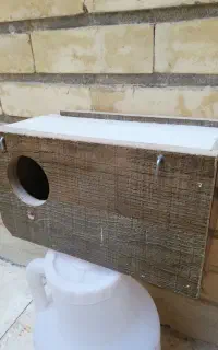 لانه مخصوص عروس هلندی، قناری، مرغ عشق