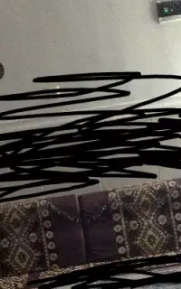 شیش عدد
