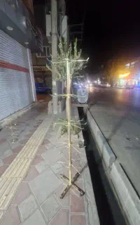 رگال خورشیدی