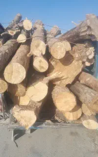 خریدار انواع چوب