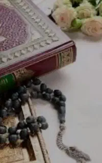 کتاب ومجله سید افغانی