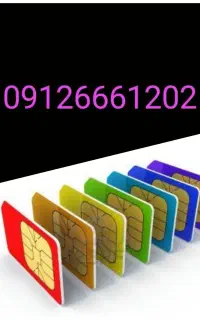 09126661202