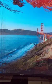 تلویزیون ۶۵ اینچ پاناسونیک اندروید 4k