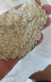 برنج فروشی