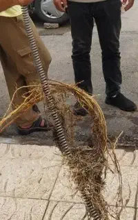 لوله باز کنی
