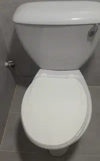 توالت فرنگی