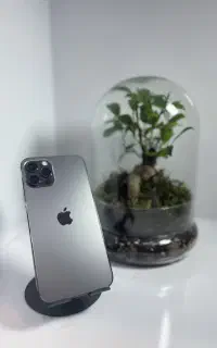 12pro