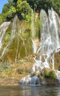 جویای کار باغبانی وکشاورزی