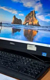 استخدام خانم