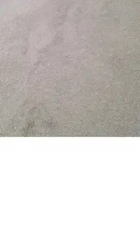 جو بذری