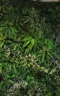 دیوار سبز مصنوعی برای منزل و محل کار