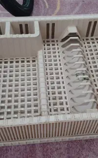 آبچکان رومیزی همراه باسینی زیرین