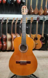 گیتار کلاسیک گیپسون تمام چوب گالری موسیقی آرتیا