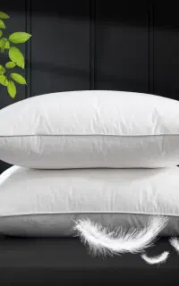 بالش الیاف پر قو