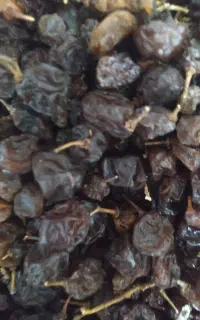 کشمش آفتابی