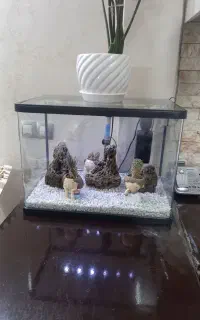 اکواریوم شرکتی شیشه خم